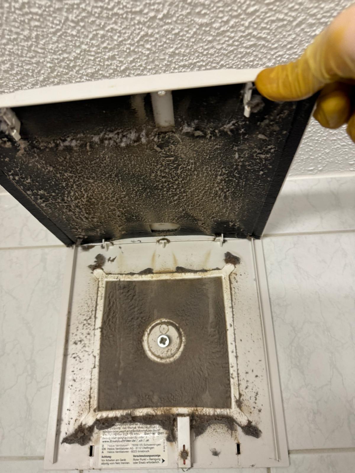 Professionelle Reinigungsarbeit September 2025